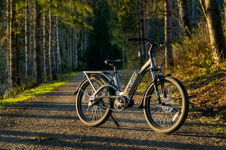 Le vélo électrique, le véhicule