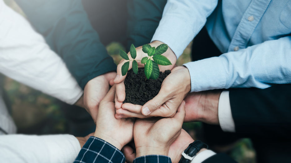 Tout savoir sur l'empreinte écologique