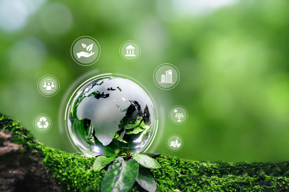 22 avril 2022 : la journée mondiale de la terre