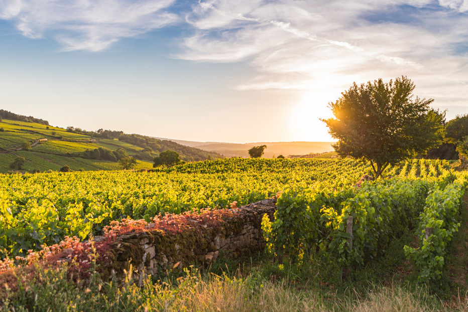 Les zones climatiques en France